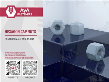 AYA VENTIGURI Guida|Perchè te dovessi Sèliere Ehexagon Cap Nots?